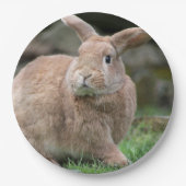 Stomme ginger bunny met grote oren papieren bordje (Voorkant)