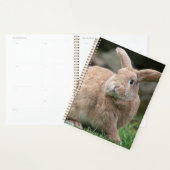 Stomme ginger bunny met grote oren planner (Display)