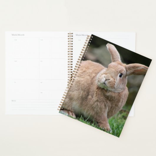 Stomme ginger bunny met grote oren planner (Display)