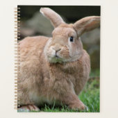 Stomme ginger bunny met grote oren planner (Voorkant)