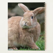 Stomme ginger bunny met grote oren planner (Achterkant)