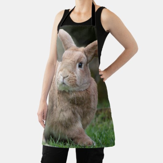 Stomme ginger bunny met grote oren schort (Insitu)