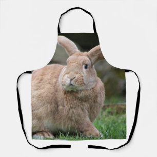 Stomme ginger bunny met grote oren schort