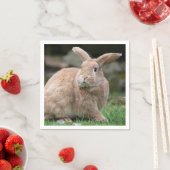 Stomme ginger bunny met grote oren servet (Insitu)