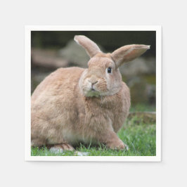 Stomme ginger bunny met grote oren servet