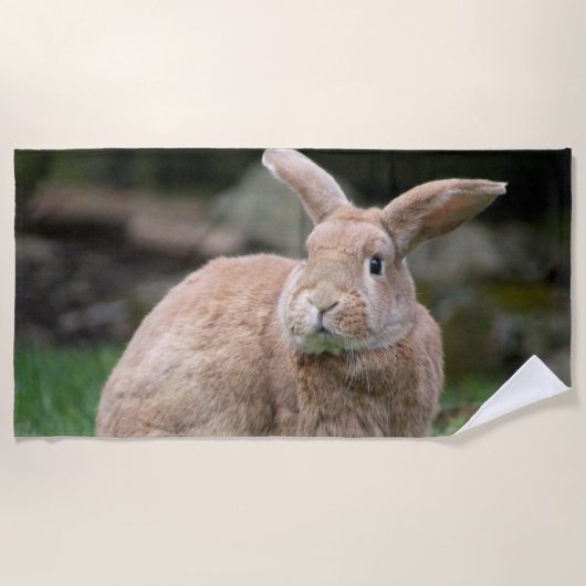 Stomme ginger bunny met grote oren strandlaken (Voorkant)