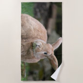 Stomme ginger bunny met grote oren strandlaken (Voorkant)