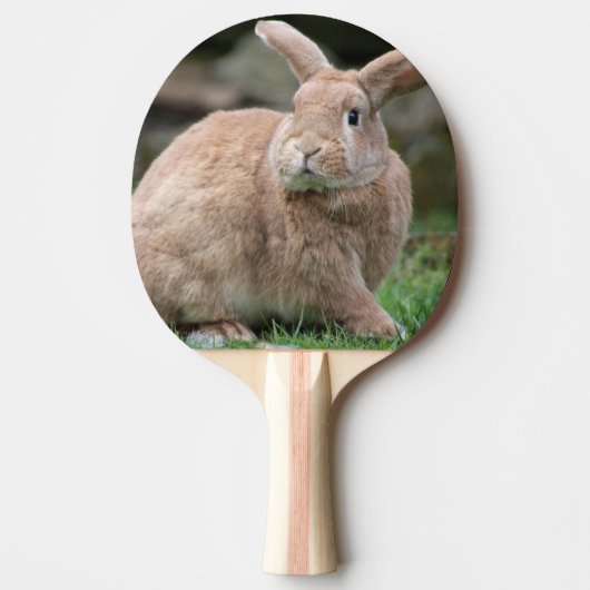 Stomme ginger bunny met grote oren tafeltennisbatje (Voorkant)