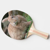 Stomme ginger bunny met grote oren tafeltennisbatje (Zijkant)