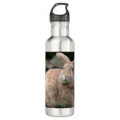 Stomme ginger bunny met grote oren waterfles  (Voorkant)