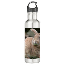 Stomme ginger bunny met grote oren waterfles 