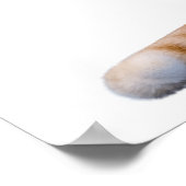 Stomme Hooman Funny Hungry Cat Poster (Hoek)