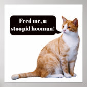 Stomme Hooman Funny Hungry Cat Poster (Voorkant)