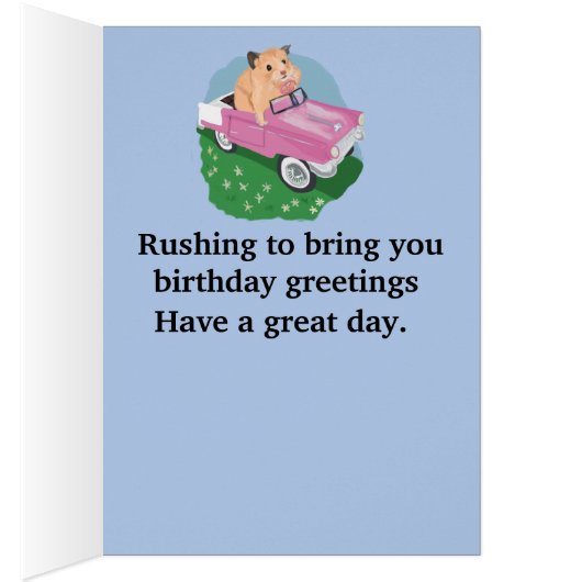 Stomme kleine hamster Een roze auto besturen (Binnen (Rechts))