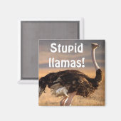 Stomme lama's! magneet (Voorkant / Achterkant)