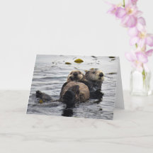Stomme mama en Pup Zeeen otters