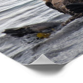 Stomme mama en Pup Zeeen otters Poster (Hoek)