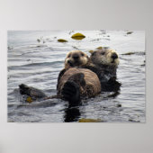 Stomme mama en Pup Zeeen otters Poster (Voorkant)