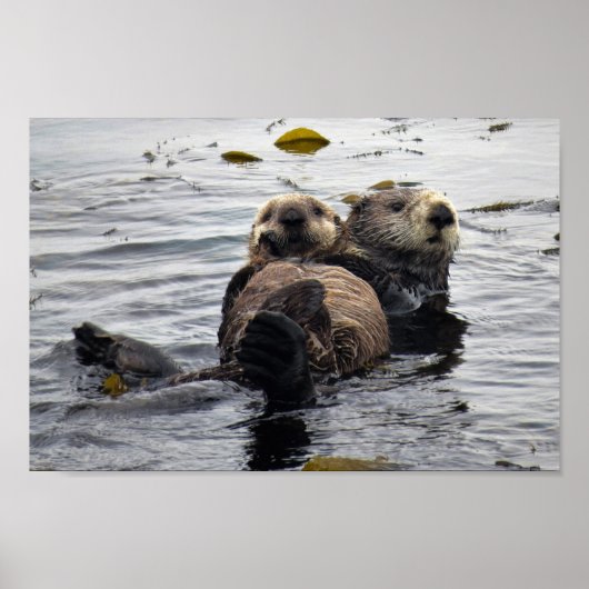 Stomme mama en Pup Zeeen otters Poster (Voorkant)