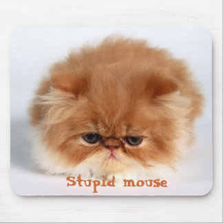 Stomme muis muismat