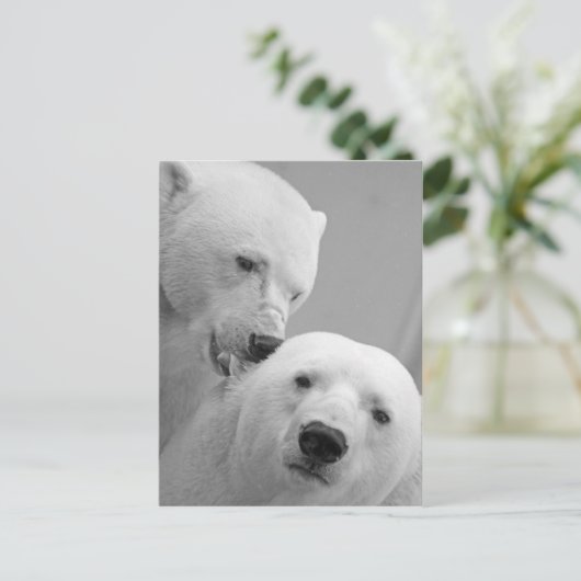 Stomme polaire beren paar briefkaart (Staand voorkant)