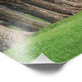 Stomme rij bomen, Louisville, Kentucky. Foto Afdruk (Hoek)