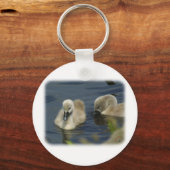 Stomme Swan Cygnets 9R054D-114 Sleutelhanger (Voorkant)
