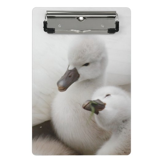 Stomme Swan Cygnets Mini Klembord (Voorkant)