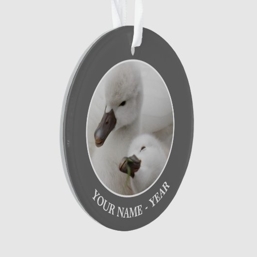 Stomme Swan Cygnets Ornament (voorkant)