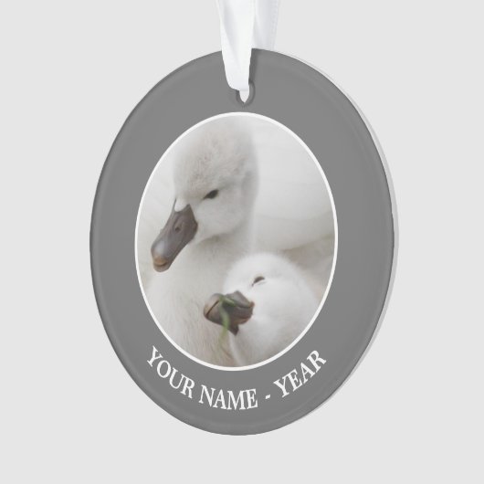 Stomme Swan Cygnets Ornament (voorkant)
