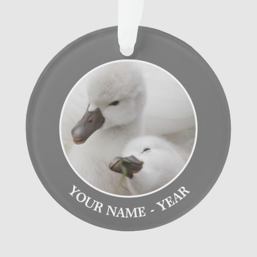Stomme Swan Cygnets Ornament (voorkant)