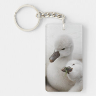 Stomme Swan Cygnets Sleutelhanger