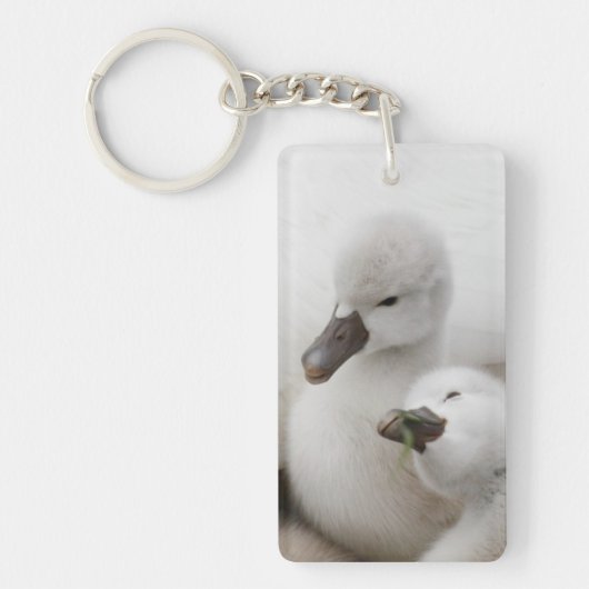 Stomme Swan Cygnets Sleutelhanger (Voorkant)