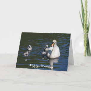 Stomme Swan met cygnets Birthday Card Kaart