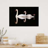 Stomme Swans Poster (Keuken)