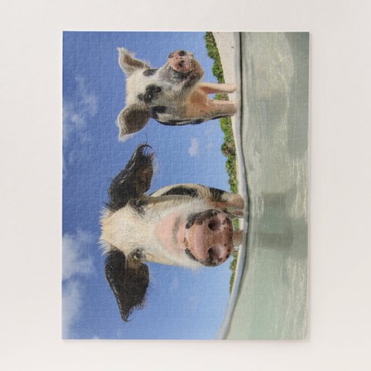 Stomme varkens op Beach Jigsee Puzzle Legpuzzel (Verticaal)