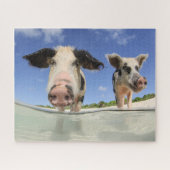 Stomme varkens op Beach Jigsee Puzzle Legpuzzel (Horizontaal)
