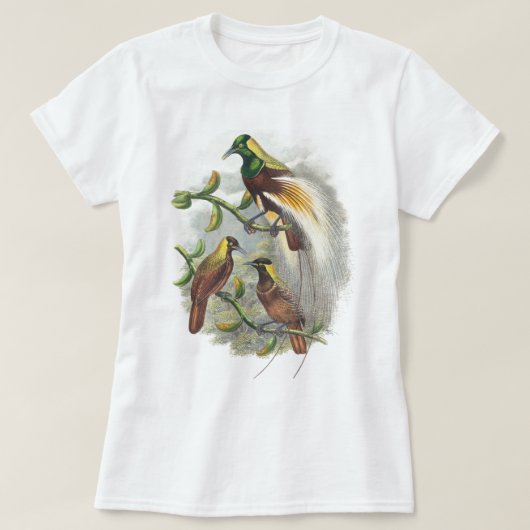 Stomme vogelhemden t-shirt (Design voorkant)