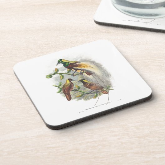 Stomme vogels bier onderzetter (Linkerzijde)