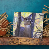 Stomme vriendjesmaker in de bossen fotoplaat (Zijkant)