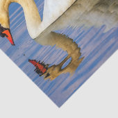 Stomme zwaan, cygnus olor tissuepapier (Detail)