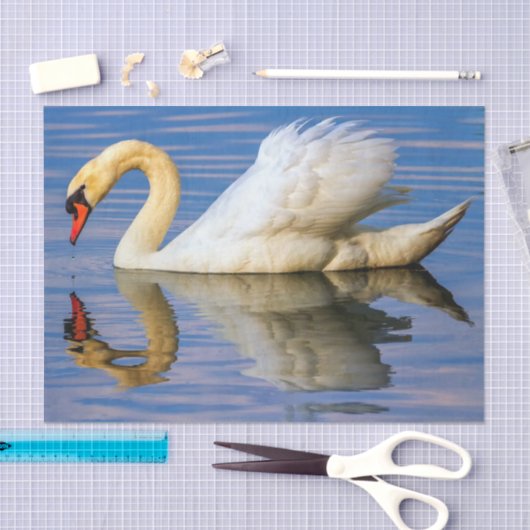 Stomme zwaan, cygnus olor tissuepapier (Craft)