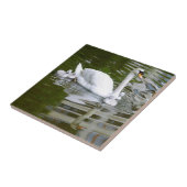 Stomme zwaan met nestlings op water tegeltje (Zijkant)