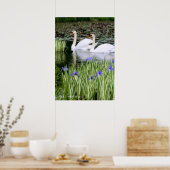 Stomme zwanen en iris: waardevol Poster papier (Keuken)