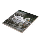 Stomme zwanen met nestelingen op water tegeltje (Zijkant)