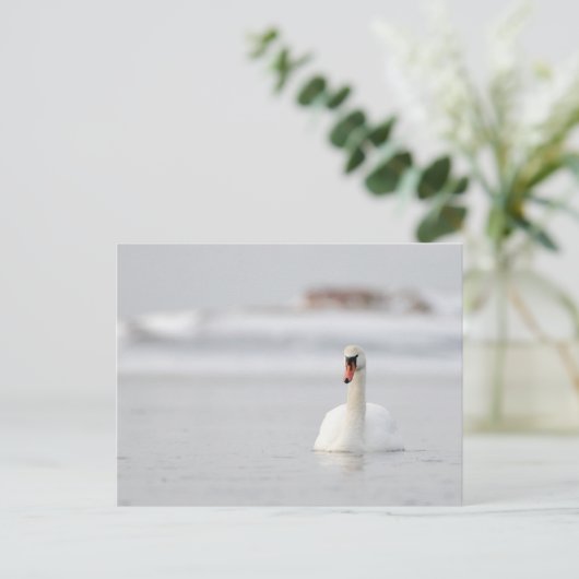 Stomme zwanen zwemmen in het ijskoude briefkaart (Staand voorkant)