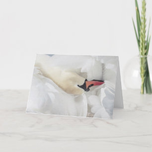 Stomme zwoekkaart kaart