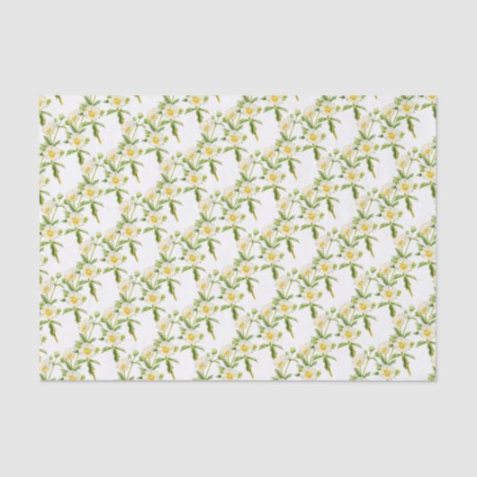 Stommelpapier voor roos, wit papier (Voorkant)