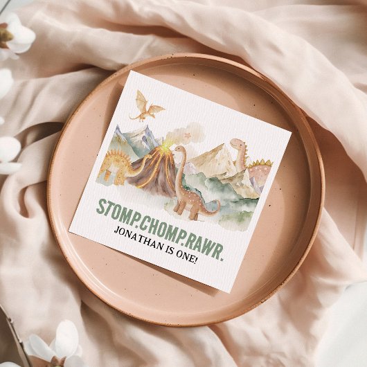 Stomp Chomp Rawr Boy Dinosaur 1st Birthday Party Servet