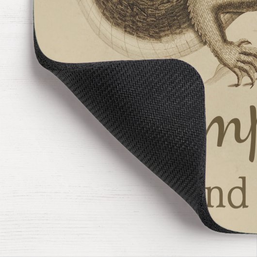 Stomp en dans CC0895 Wilde krokodil Muismat (Hoek)